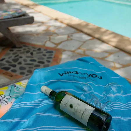 Σπίτι διακοπών Micouleaud