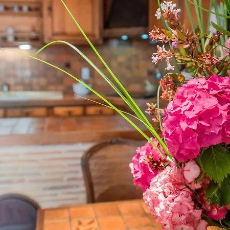 Σπίτι διακοπών Micouleaud Besse (Dordogne)