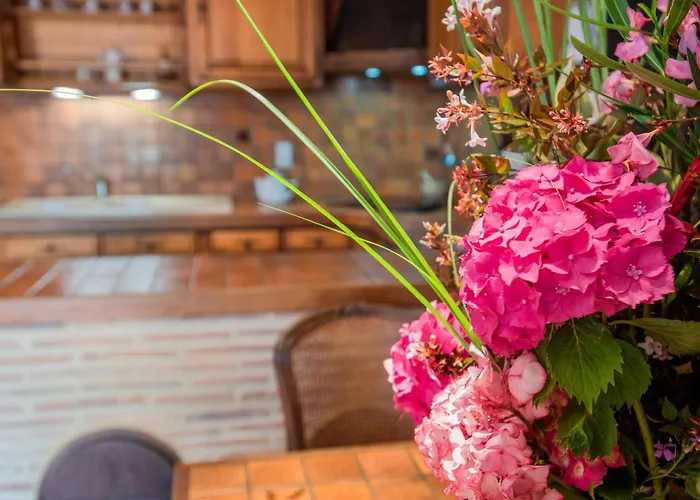 Vakantiehuis Micouleaud Besse (Dordogne)